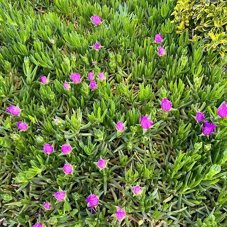 Apartamento Three Above Sea